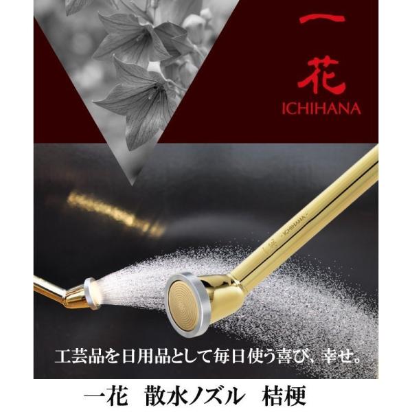 UmY T  z[Xz_[ |pi K[fjO G d    UmY j[