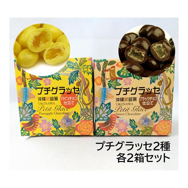 プチグラッセ（ブラックチョコ・パインチョコ）100g×各2箱 ドライ