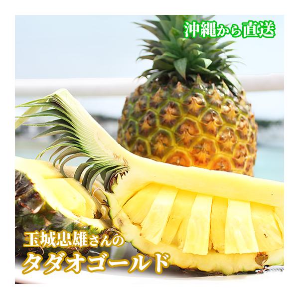 【パイン職人！！】☆タダオゴールド( 4玉 )9キロ以上 送料無料】玉城忠男さんの完熟タダオゴールド 4〜8玉(9kg)通常箱