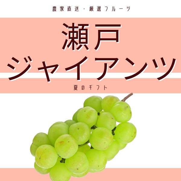 【予約品 限定10箱】瀬戸ジャイアンツ 2kg(3〜5房入り)産地直送 10月上旬より順次配送 （送料無料） 産直 岡山県 ぶどう 目安３〜５房 果物 贈答