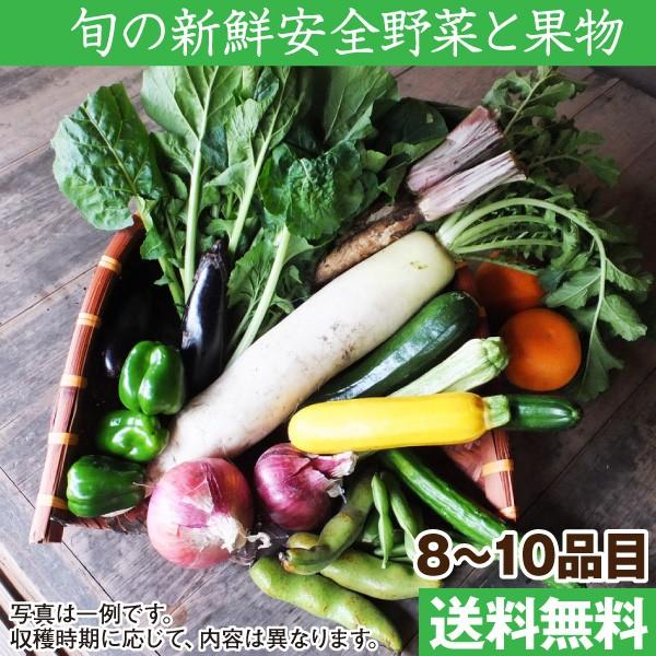 旬の野菜セット 野菜と果物8 10品目 奈良 和歌山 採れたて 産地直送 減農薬 有機質肥料 詰め合わせ 送料無料 こだわり厳選食品館 通販 Paypayモール