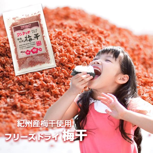 フリーズドライ 梅干 38g スタンカップ ワンタッチ 紀州産 乾燥梅干 ふりかけ ゆうパケット配送 お一人様10個まで Buyee Buyee Japanese Proxy Service Buy From Japan Bot Online