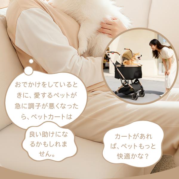 kodawarizakka-store_cwtc003_2_d_20251114184746