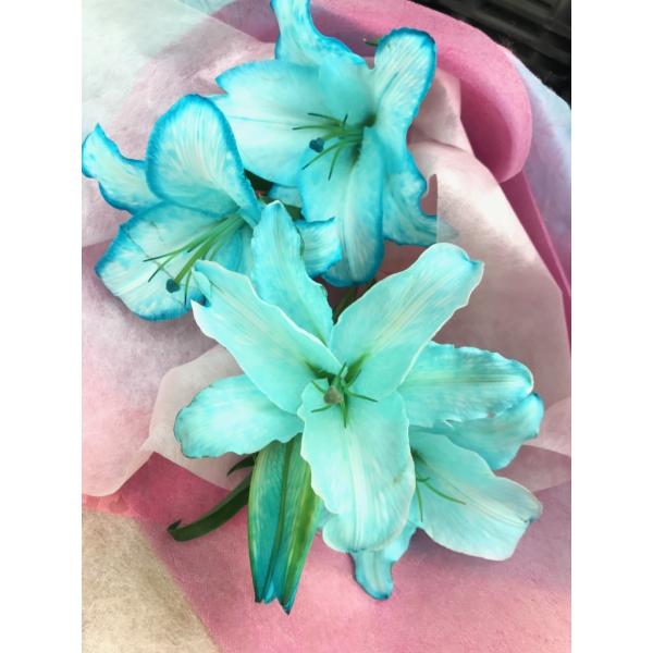 花束 水色 生花の人気商品 通販 価格比較 価格 Com