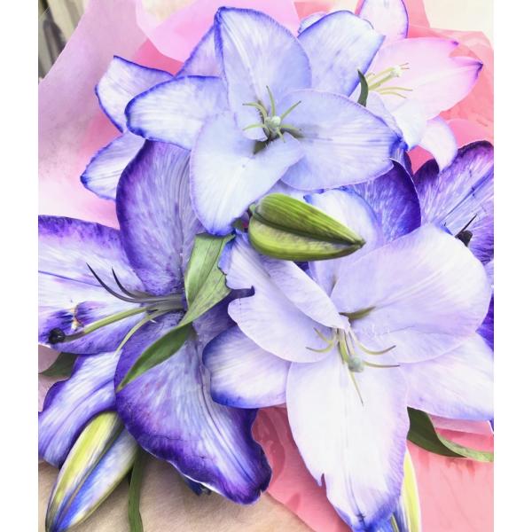 カサブランカ 生花の人気商品 通販 価格比較 価格 Com