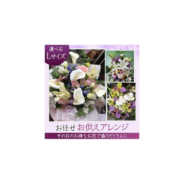 r@ԁ@AWLTCY@r@~@ފ݁@@@v@l\@@