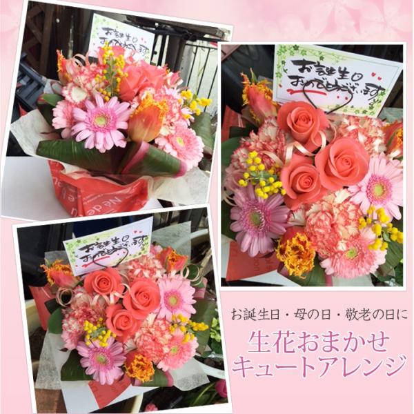 @a@vw̓@NX}XMtg@r@@ފ݁@AWg@ybg@@ԁ@CL[ƃAW