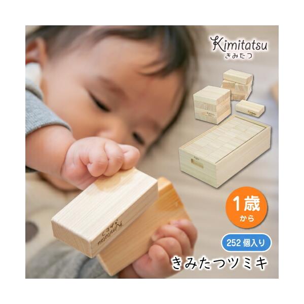知育玩具 木のおもちゃ きみたつツミキ 252個入り 1才から 遊び 木製