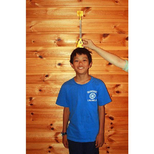 ファミリーで使える身長計コクパクトなキリンさんのなが〜い首がぐんぐん伸びていきます。お子様の成長が、とても楽しみな身長計!!