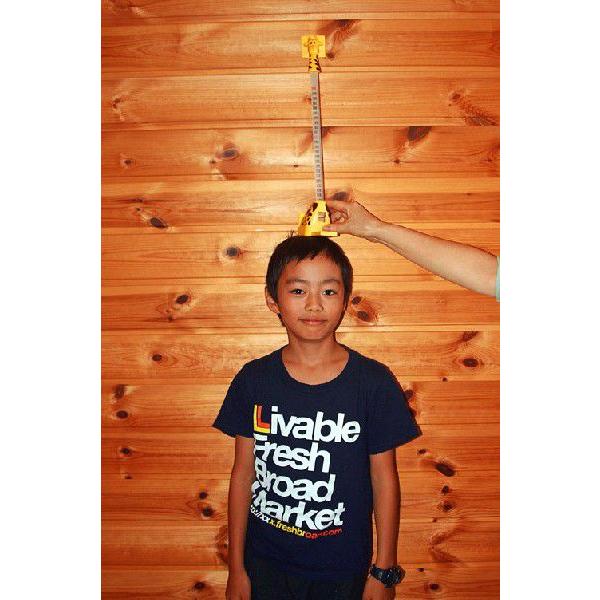 ファミリーで使える身長計コクパクトなキリンさんのなが〜い首がぐんぐん伸びていきます。お子様の成長が、とても楽しみな身長計!!