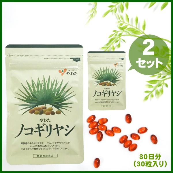 ノコギリヤシは、北米南東部の海岸地帯に生息しているヤシ科の植物です。オリーブ大の実を付け、7月〜9月に収穫され抽出したエキスに、中高年の健康維持を助ける力があるのです。陽光が降り注ぐアメリカ・フロリダの大自然でたくましく育った自生のノコギリ...