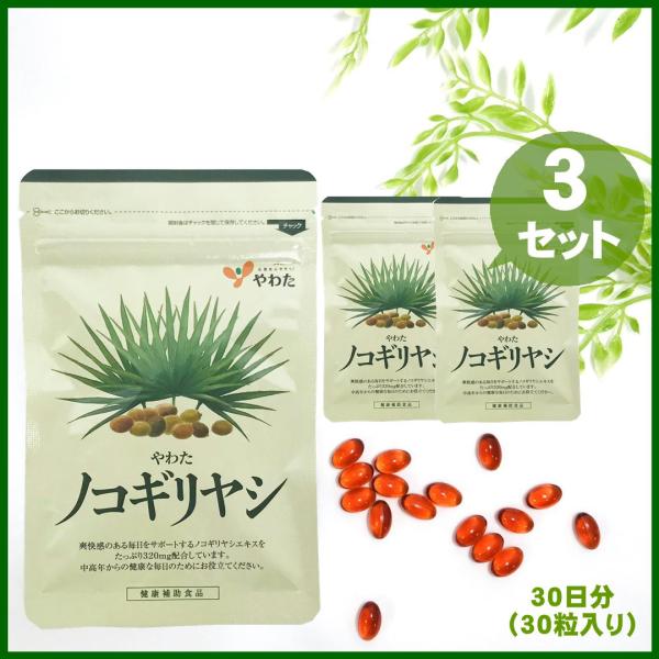 ノコギリヤシは、北米南東部の海岸地帯に生息しているヤシ科の植物です。オリーブ大の実を付け、7月〜9月に収穫され抽出したエキスに、中高年の健康維持を助ける力があるのです。陽光が降り注ぐアメリカ・フロリダの大自然でたくましく育った自生のノコギリ...