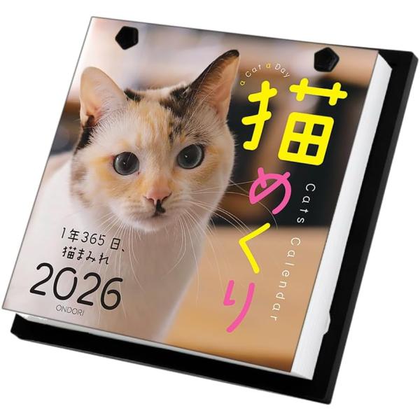 『猫めくり』 1年365日、猫まみれ！ 毎年大好評のネコちゃん好きにはたまらない、投稿写真で作られる毎日ワクワクの癒やしの日めくりカレンダーです。サイズ:W173×H173×D42mm