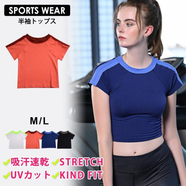 X|[cEFA fB[X  H ~ H~  g[jO gbvX K z zCg bh lCr[ ubN jO tBbglX 