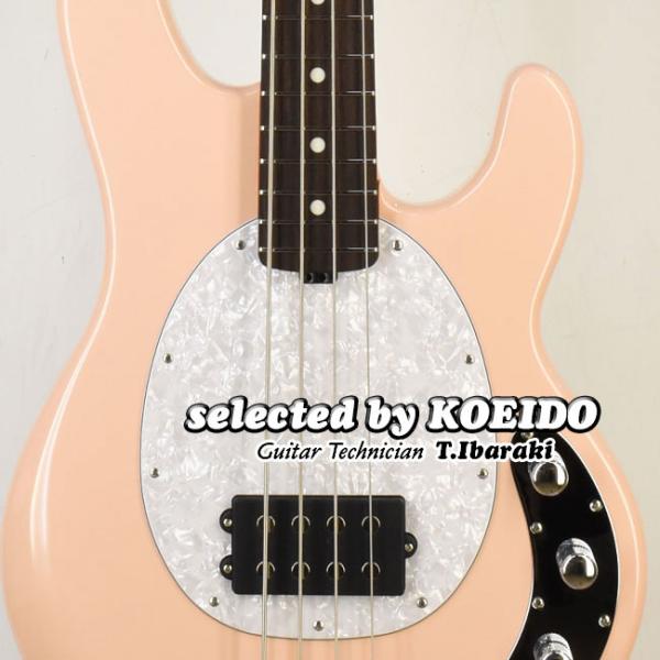 MUSIC MAN USA StingRay 4 美品 Sterling by Music Man StingRay Ray4HH Maple Fingerboard
