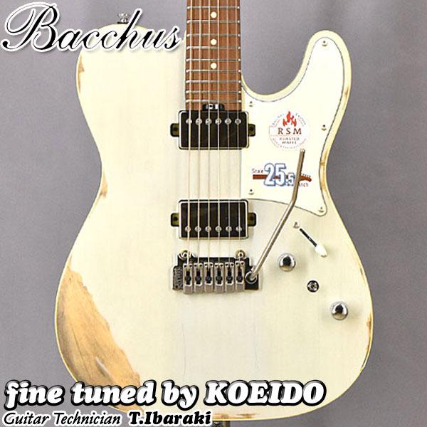 最終値下Bacchus TACTICS24-AGED/RSM SBBD-AGED TACTICS24-ASH/RSM SBBD (Bacchus / バッカス) エレキギター