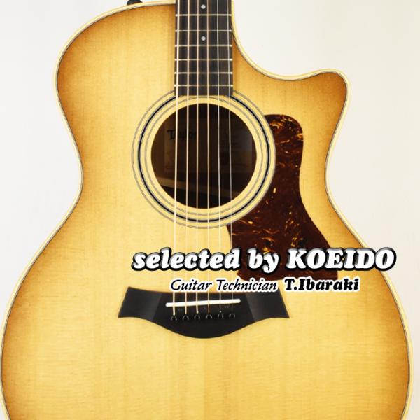 Taylor Taylor USA 314ce SEB V-Class Studio(selected by KOEIDO