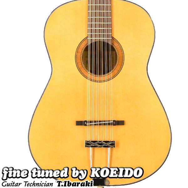 FRAMUS フラマス　アコースティックギター hootenanny_12st_01.jpg?fitin=