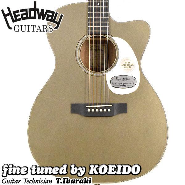 Headway Headway HOC-V090SE OAG（Old American Gold） ヘッドウェイ