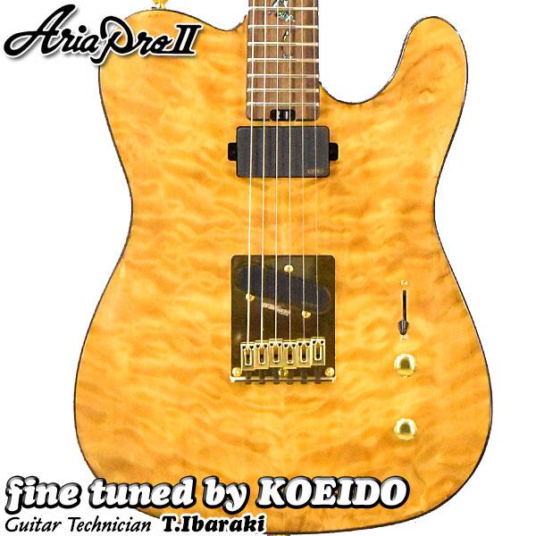 Aria Proll ProII TEG-780 N エレキギター （アウトレット特価）アリア