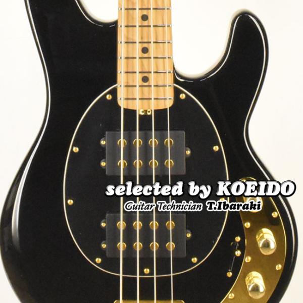 Musicman Stingray4 Special HH MN Jackpot (selected by KOEIDO) 店長厳選、別格の命を持つ最新スティングレイ！