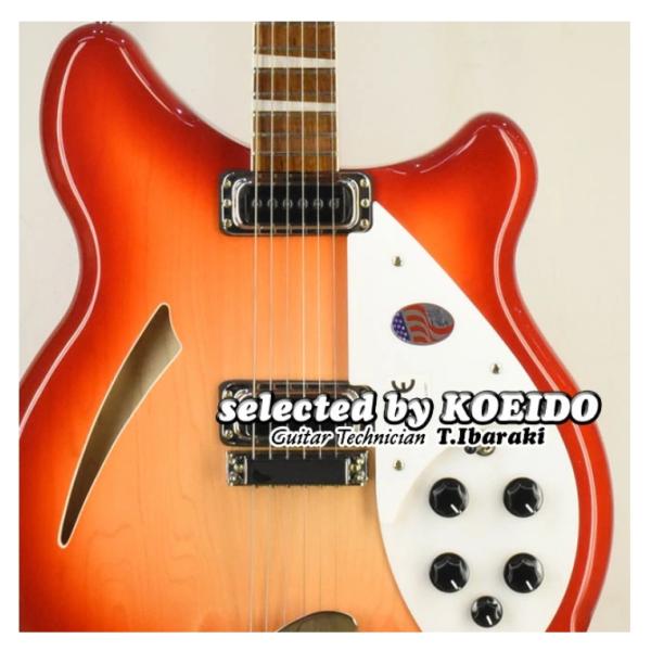 Rickenbacker 360FG (selected by KOEIDO) リッケンバッカー