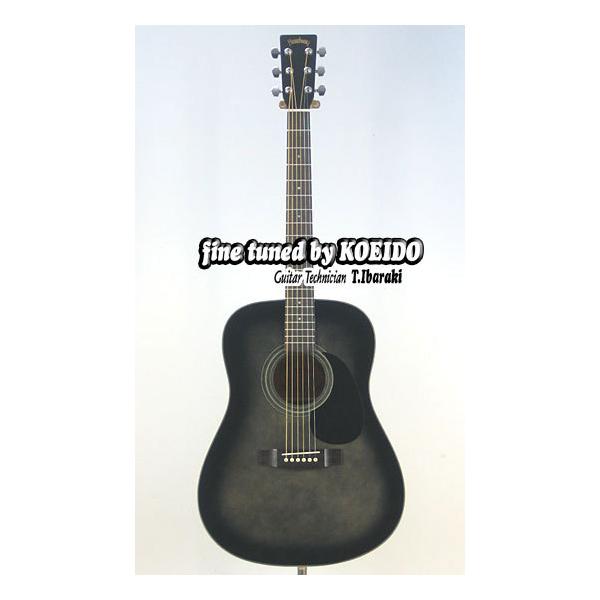ヘッドウェイ ギター - アコースティックギターの人気商品・通販・価格比較 - 価格.com