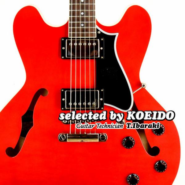 HERITAGE（ヘリテージ） Heritage H-535 Vintage Cherry(selected by