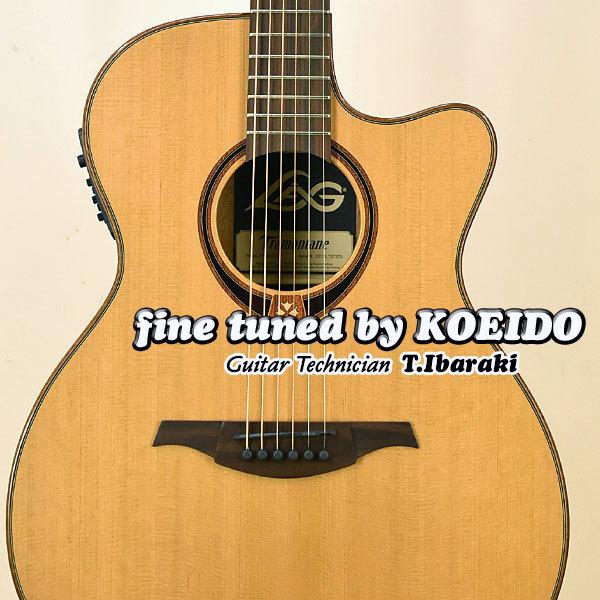 LAG Guitars T118ACE NA（スペア弦付き）ラグギター アコースティック 