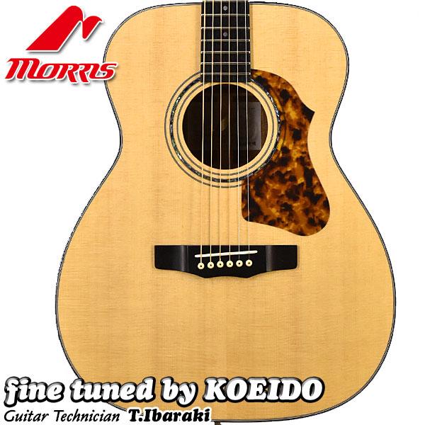 Morris アコースティックギター Morris F-LTD II (クリップチューナー