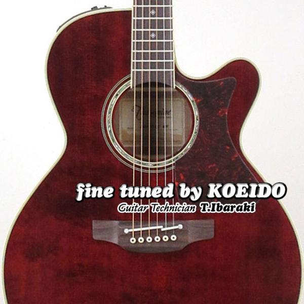 タカミネ 500シリーズ DMP551C [WR] (アコースティックギター) 価格比較 - 価格.com