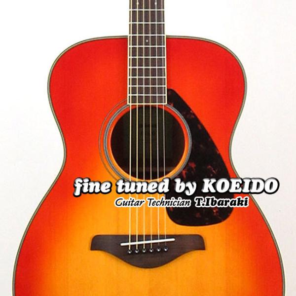 YAMAHA FS-820  AB }n AR[XeBbNM^[ S p