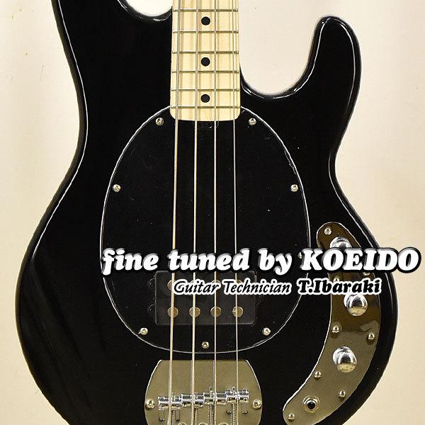 ベース Sterling by MUSIC MAN S.U.B. RAY4 StingRay Ray 4 | Basses | SUB - Sterling by Music Man