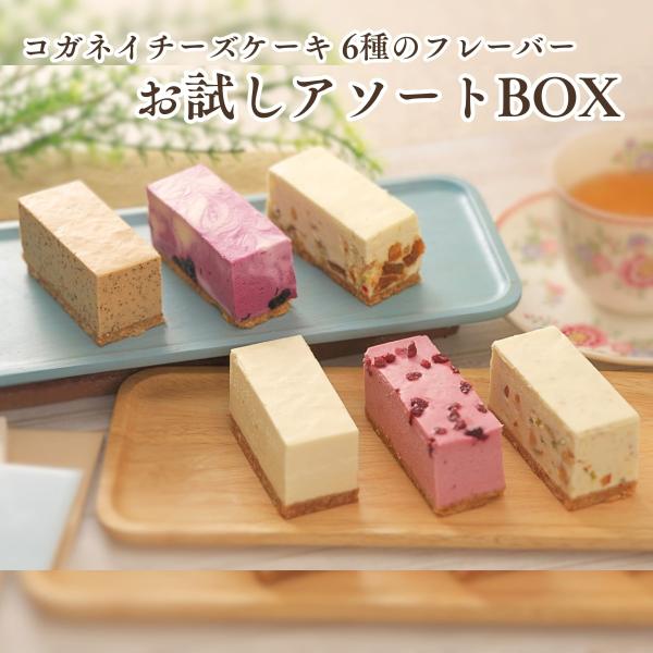 フードロス お取り寄せグルメ 冷凍父の日 ギフト ギフト 高級 チーズケーキ 2020 白砂糖不使用チーズケーキ お試し4種食べ比べ 6個入り Buyee Buyee Japanese Proxy Service Buy From Japan Bot Online
