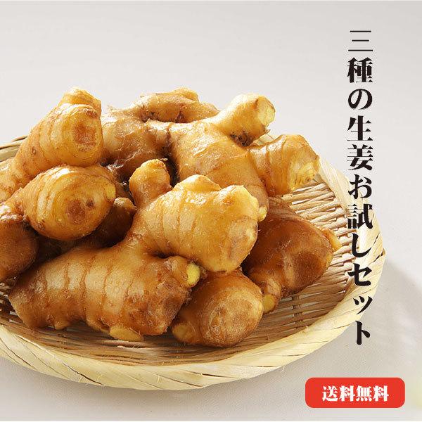 数量限定　少し訳あり新生姜　130 新生姜1kg(季節限定・農家直送)1キロ 甘酢漬け ガリ しょうが
