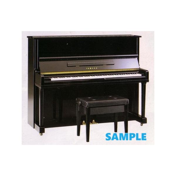 ※短期レンタルの場合は調律代金（￥13,000+税）をお支払いいただいております。詳しくはご相談ください。※サービス可能地域は関東一都六県（東京・茨城・栃木・埼玉・千葉・神奈川・群馬の各県）但し、一部地域を除きます。他の地域の方は、ご相談く...