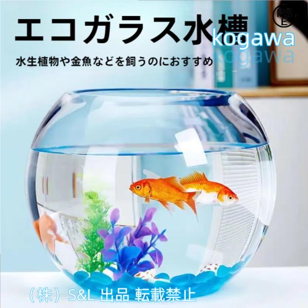 希少　激レア　まめゴマリウム　水槽　金魚鉢　まとめ売り Amazon | 金魚鉢 大型水槽 金魚 水槽 テラリウム 水槽 厚くされ
