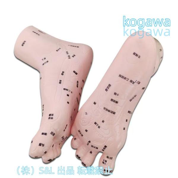 A5：足つぼ 学ぶ（DVD足部反射療法2級上編）+テキスト+チャートset Amazon.co.jp: 【 日本語表記 わかりやすい 体系的に覚える】足