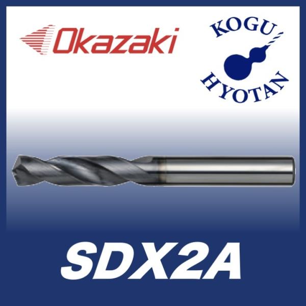 y`Oz 萸H SDX2A 6.5 d|p\bhhi͌^j 2Dp SDX2A065