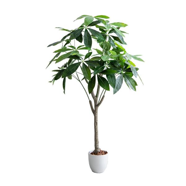 観葉植物 パキラ フェイクグリーン 人工 室内 グリーン : 琥珀商店