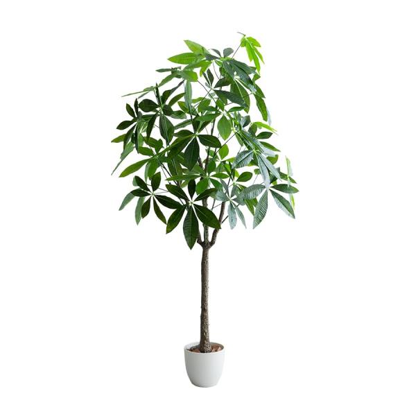 観葉植物 パキラ フェイクグリーン 人工 室内 グリーン : 琥珀商店