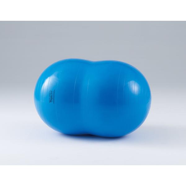 ※お値下げ　フィジオロールボール 70 フィジオロール70(ブルー) : 琥珀商店 Yahoo!ショップ - 通販