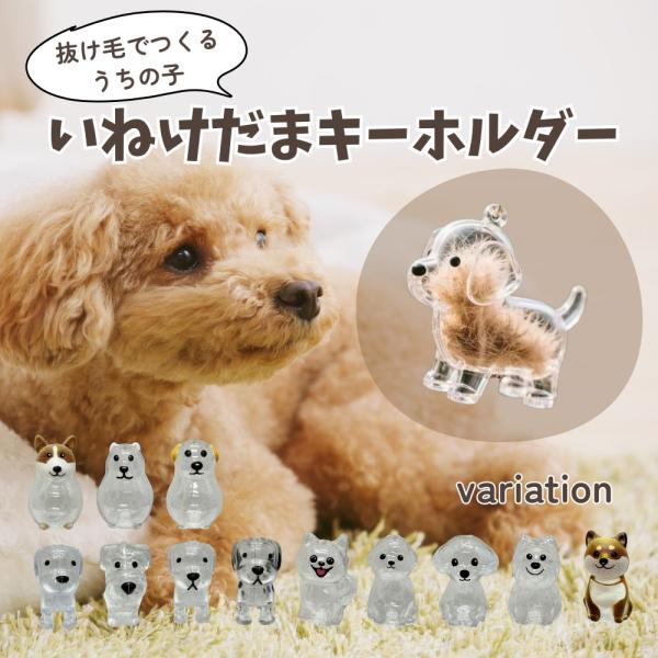 いぬけだま キーホルダー ケース 12種類わんちゃんの抜け毛を詰めるだけで出来るうちの子キーホルダーです。大事なあの子の分身といつでも一緒に過ごせます。手のひらに乗る程よいサイズでキーケースやバッグにつけてもちょうどサイズ感。1個と2個セッ...