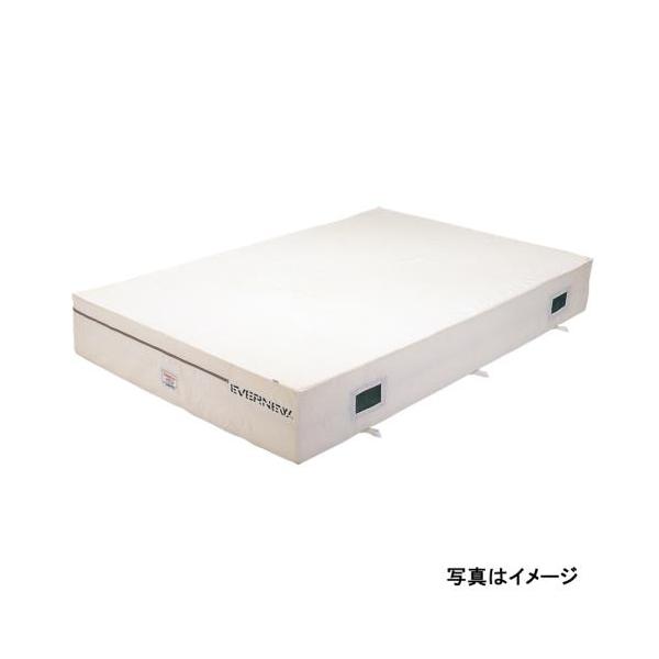 EVERNEW（エバニュー） 抗菌屋内エバーマット 200×300×40cm 送料無料