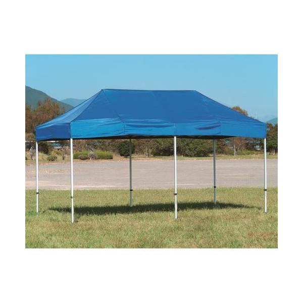 EVERNEW（エバニュー） クイックテントDX2.4×3.6 青 EKA108-700