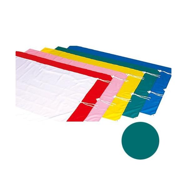 Goj[ EVERNEW P 120×180cm   EKA647-500