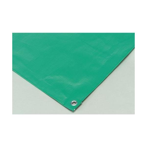 【法人限定】 EVERNEW エバニュー EKA972 砂場シート6×11 メーカー直送 EVERNEW（エバニュー） 砂場シート6×11 送料無料 EKA972 : 琥珀商店