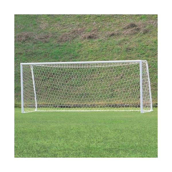 EVERNEW（エバニュー） サッカー ゴール ジュニア オール アルミ No.10