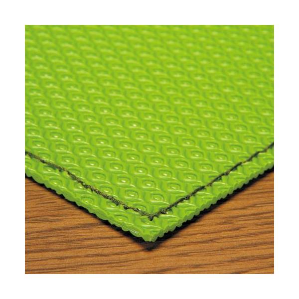 EVERNEW（エバニュー） スポーツ用品 体育館設備 滑り止シート 3 送料