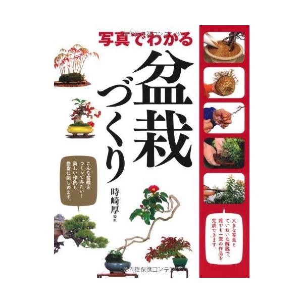 写真でわかる盆栽づくり 盆栽 本